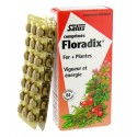 Floradix Comprimidos